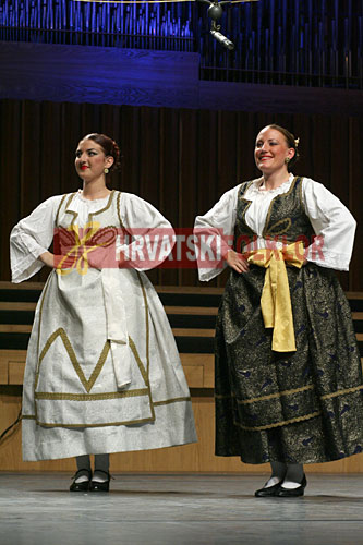 lisinskizeljeznicar (79)